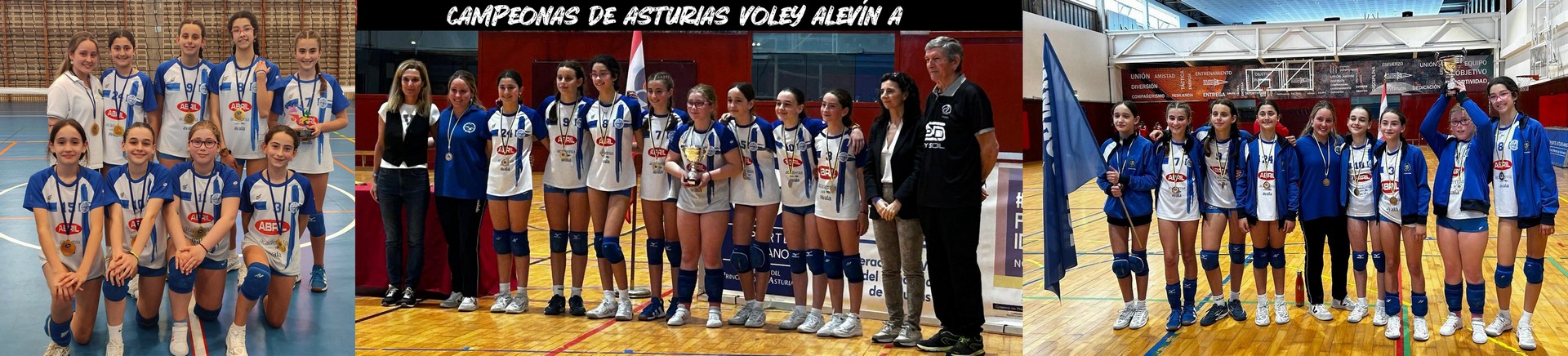 Campeonas de Voley Alevín A